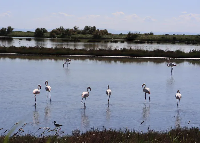 Il Nido Di Spina Apartament Lido di Spina