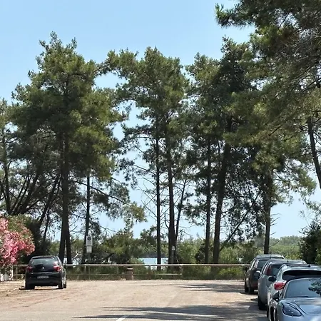 Il Nido Di Spina Διαμέρισμα Lido di Spina