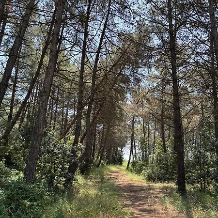 Il Nido Di Spina דירה