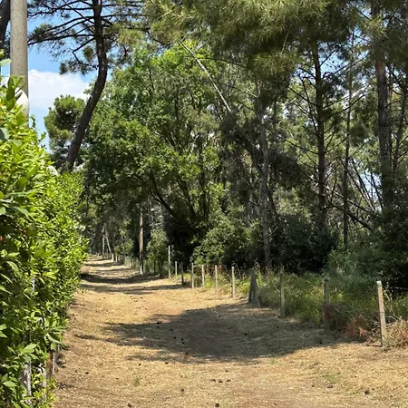 Il Nido Di Spina