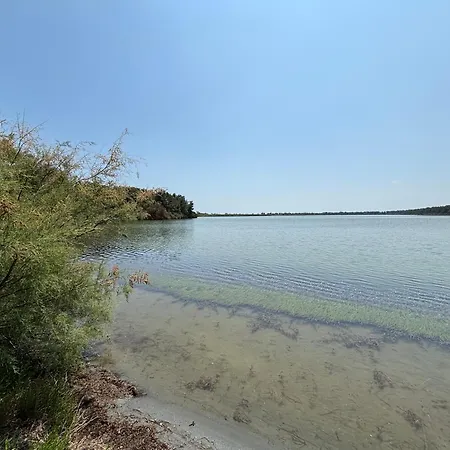 Il Nido Di Spina לידו דה ספינה