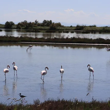 Il Nido Di Spina דירה לידו דה ספינה