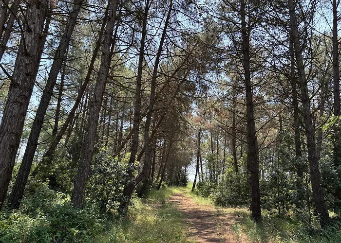 Il Nido Di Spina Appartement