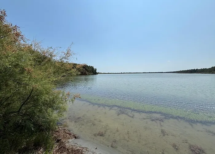 Il Nido Di Spina Lido di Spina