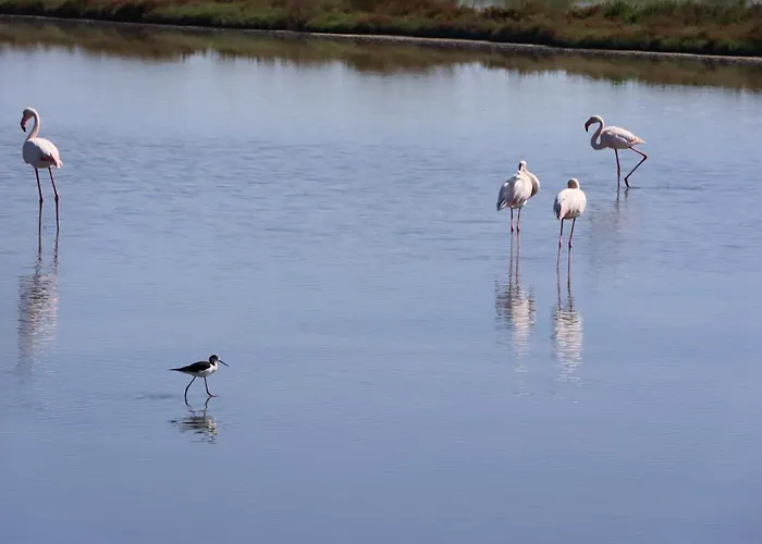 דירה Il Nido Di Spina